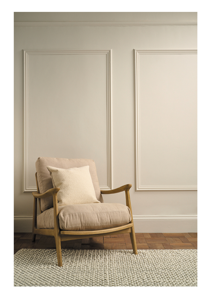 Annie Sloan  - Wall Paint