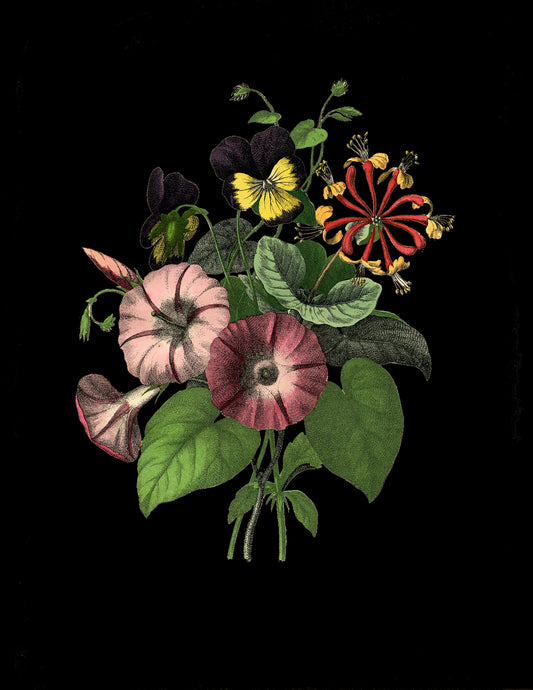 Botanical Flowers blank greetings card