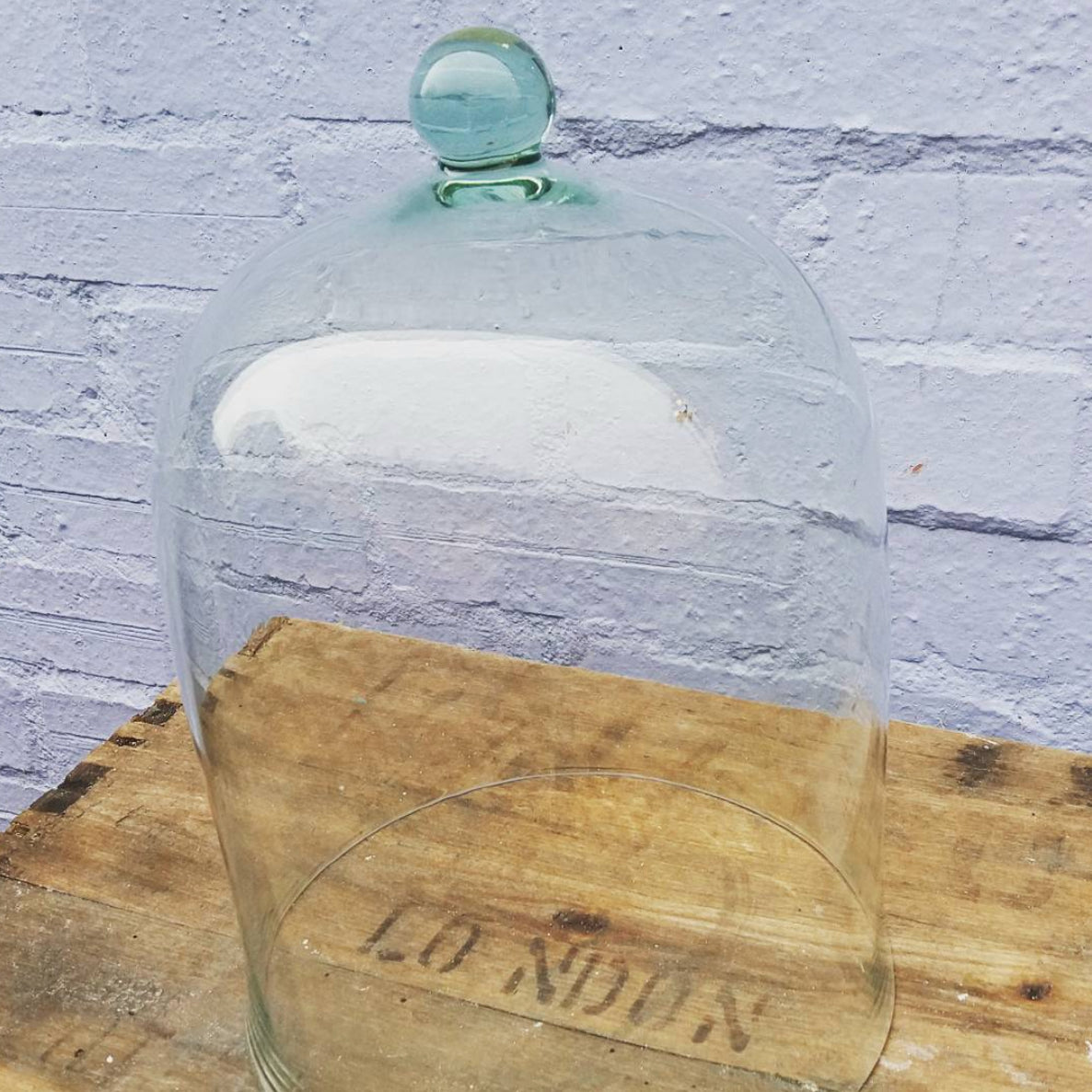 Gorgeous vintage glass bell jar dome cloche