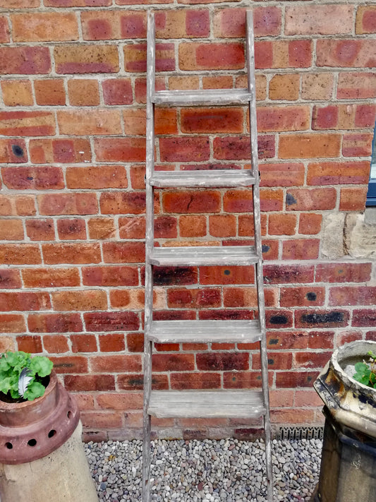 Vintage Ladder
