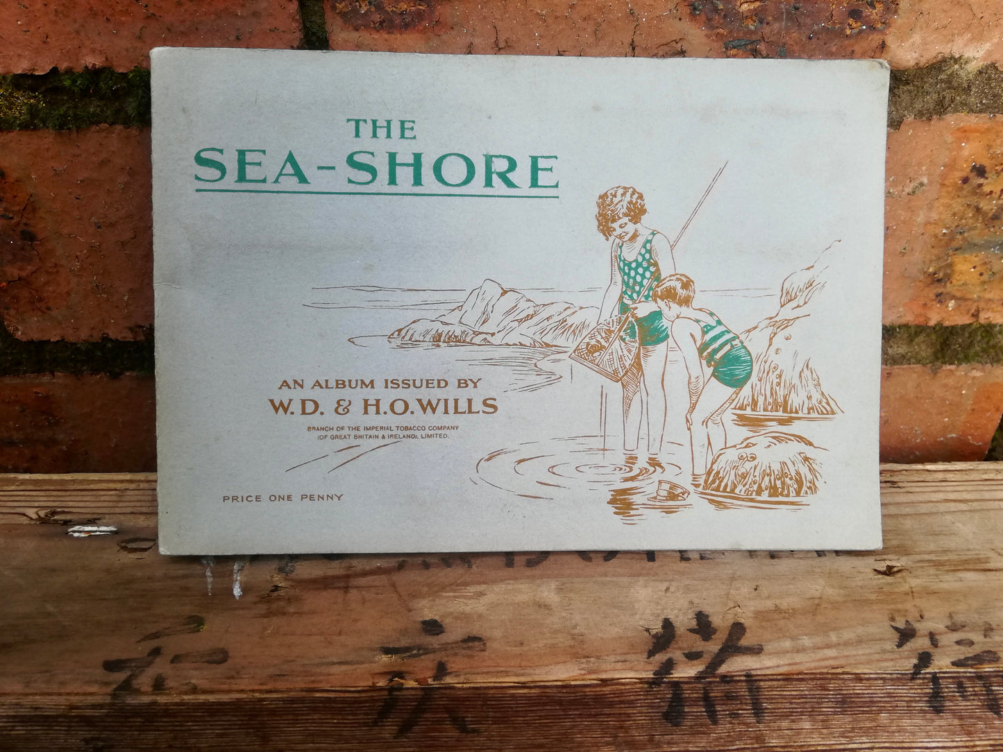 Gorgeous vintage cigarette card book - The Seashore