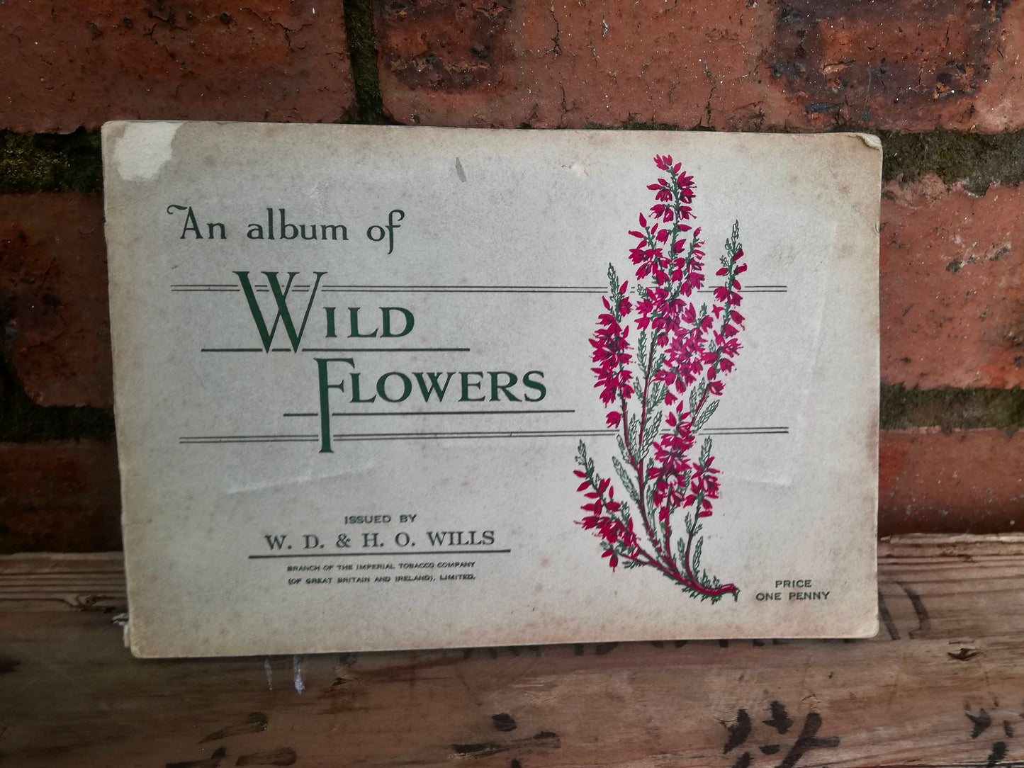 Gorgeous vintage cigarette card book - Wildflowers