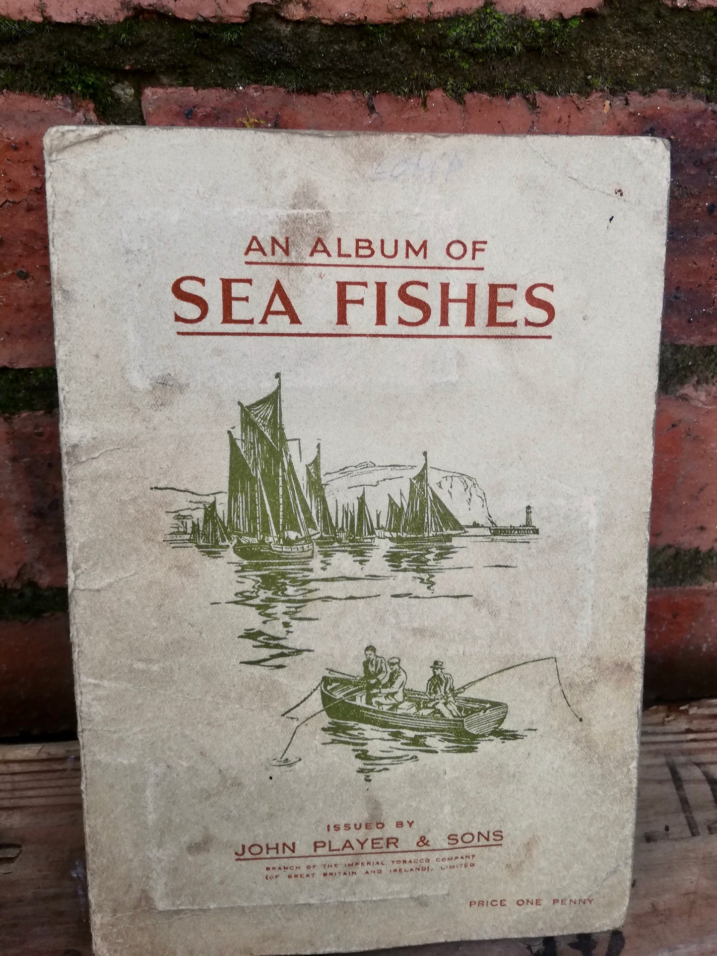 Gorgeous vintage cigarette card book - Sea Fishes