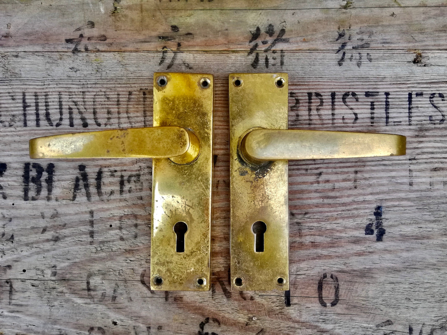 Pair of Vintage Metal door handles