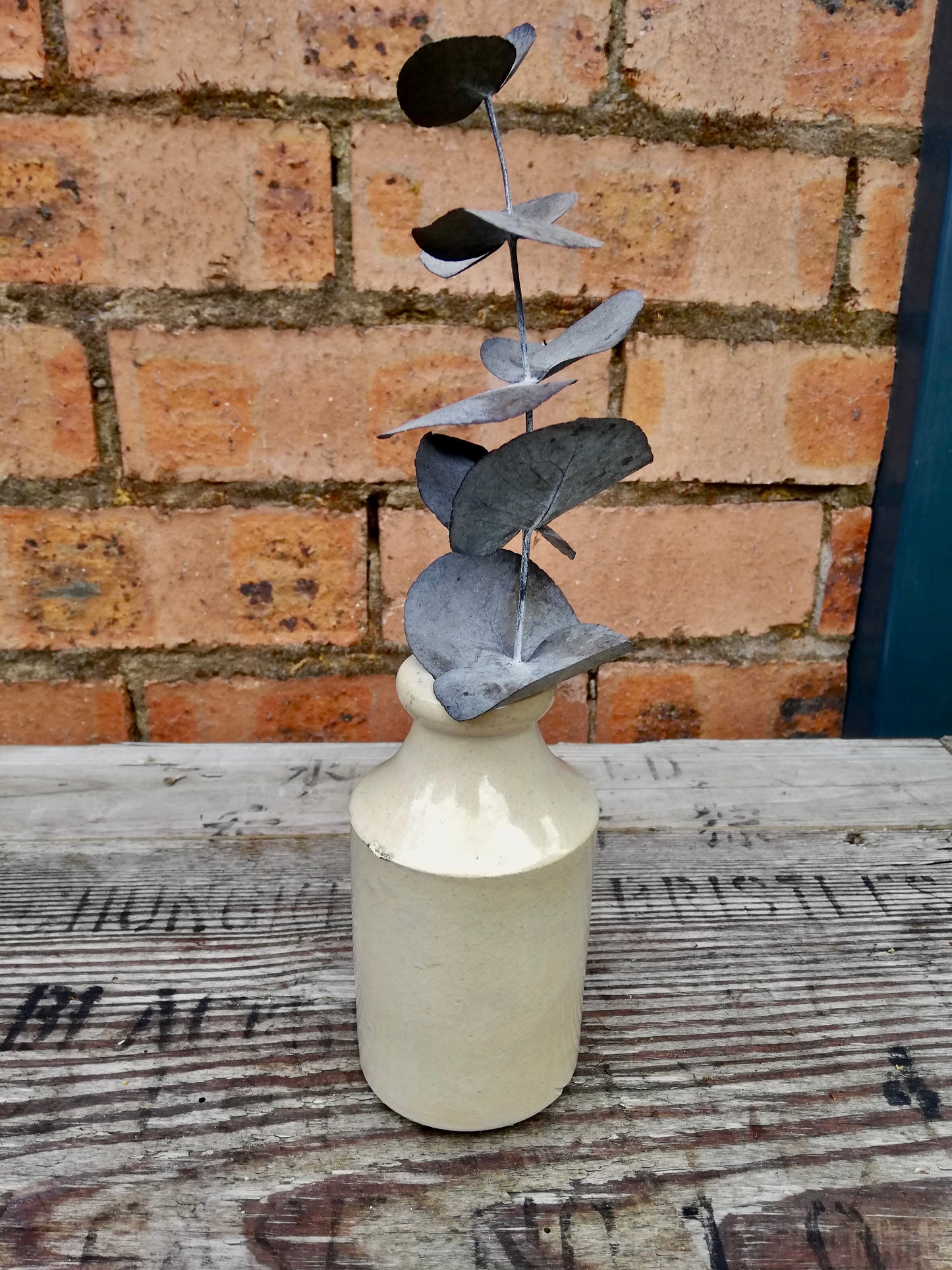 Vintage stoneware bud vase with preserved eucalyptus stem