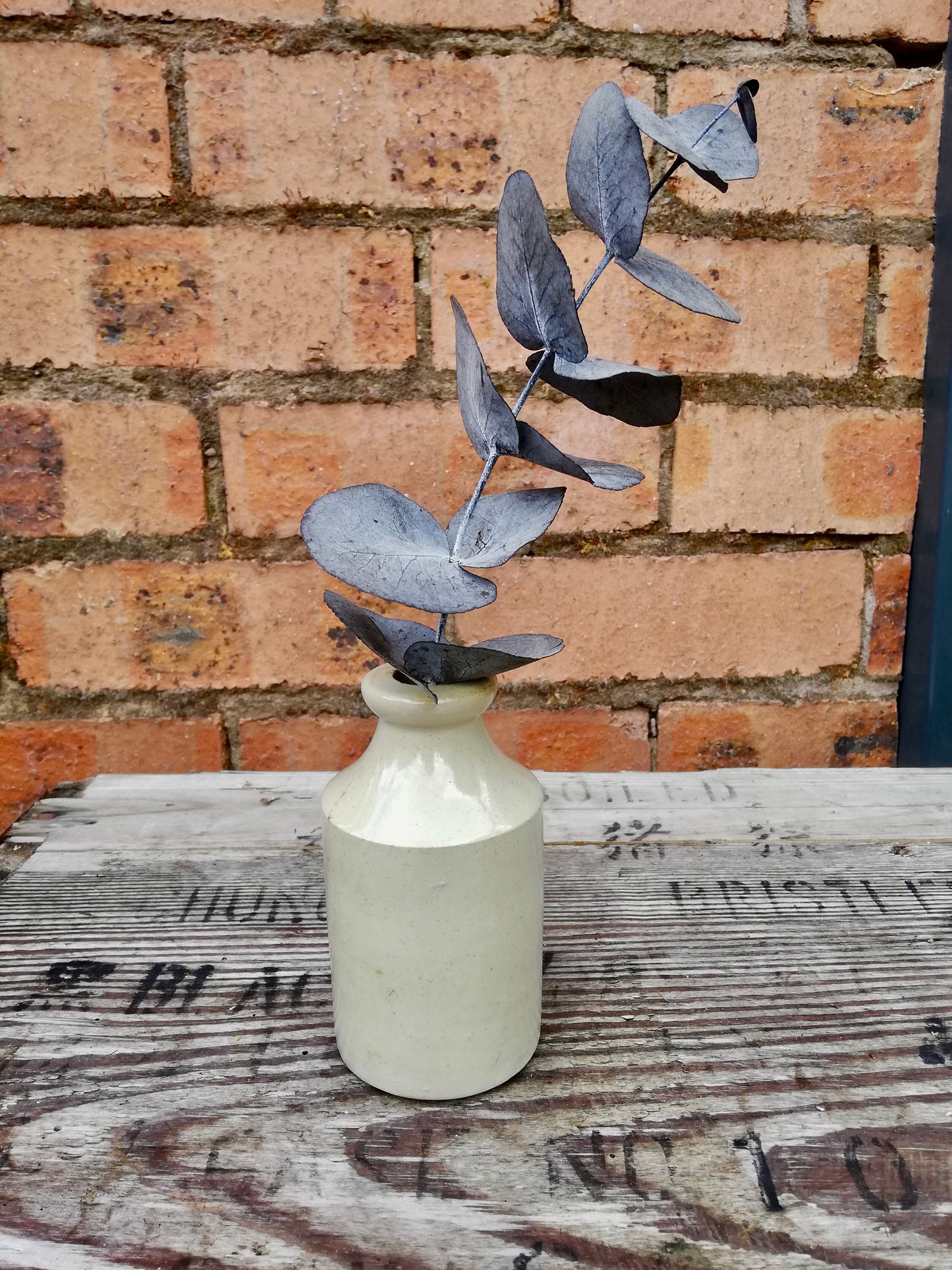 Vintage stoneware bud vase with preserved eucalyptus stem