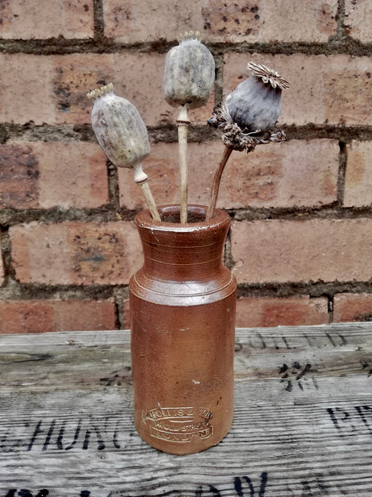 Vintage brown stoneware bud vase with 3 dried seed heads