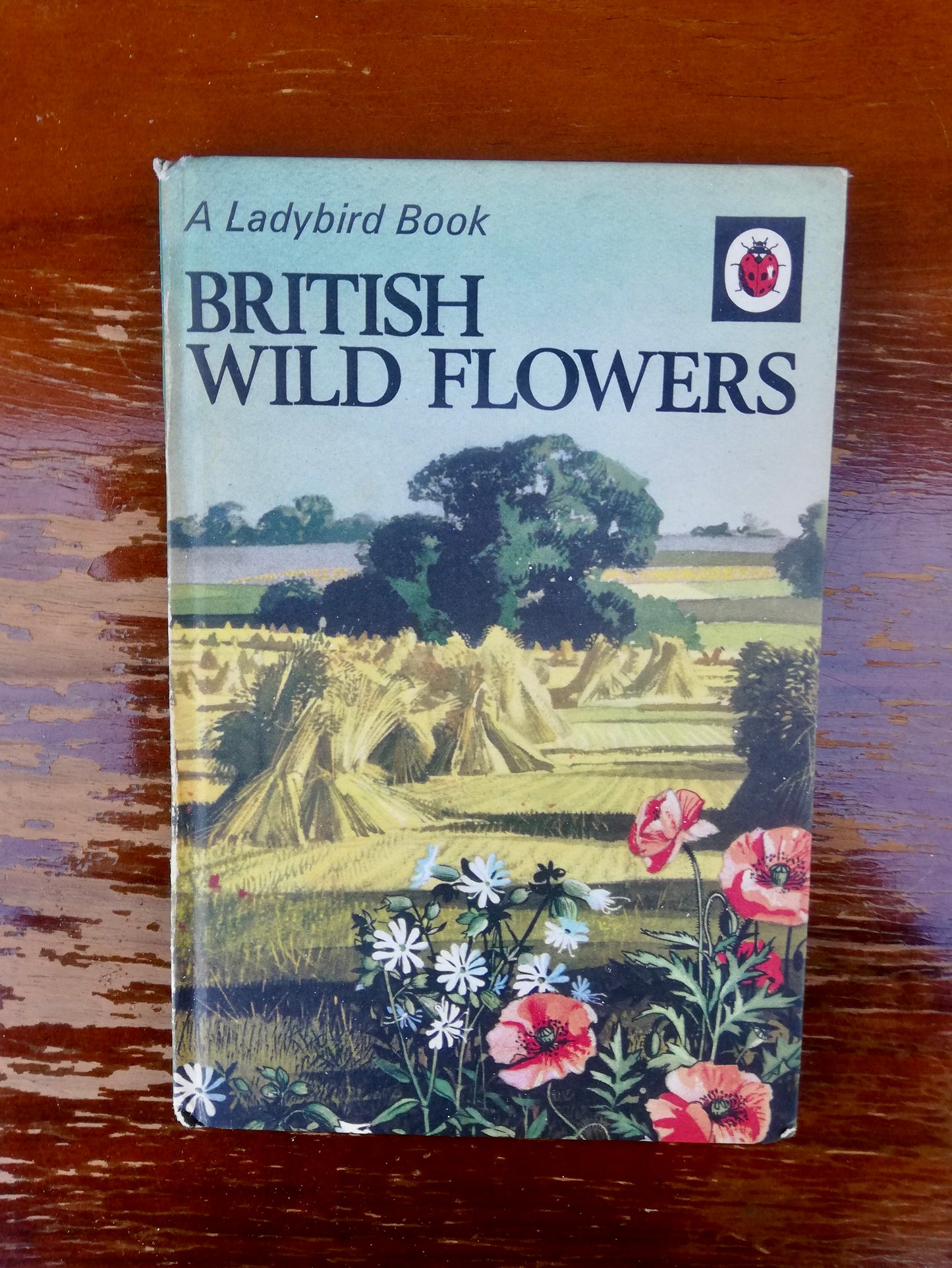 Vintage ladybird book - British Wildflowers