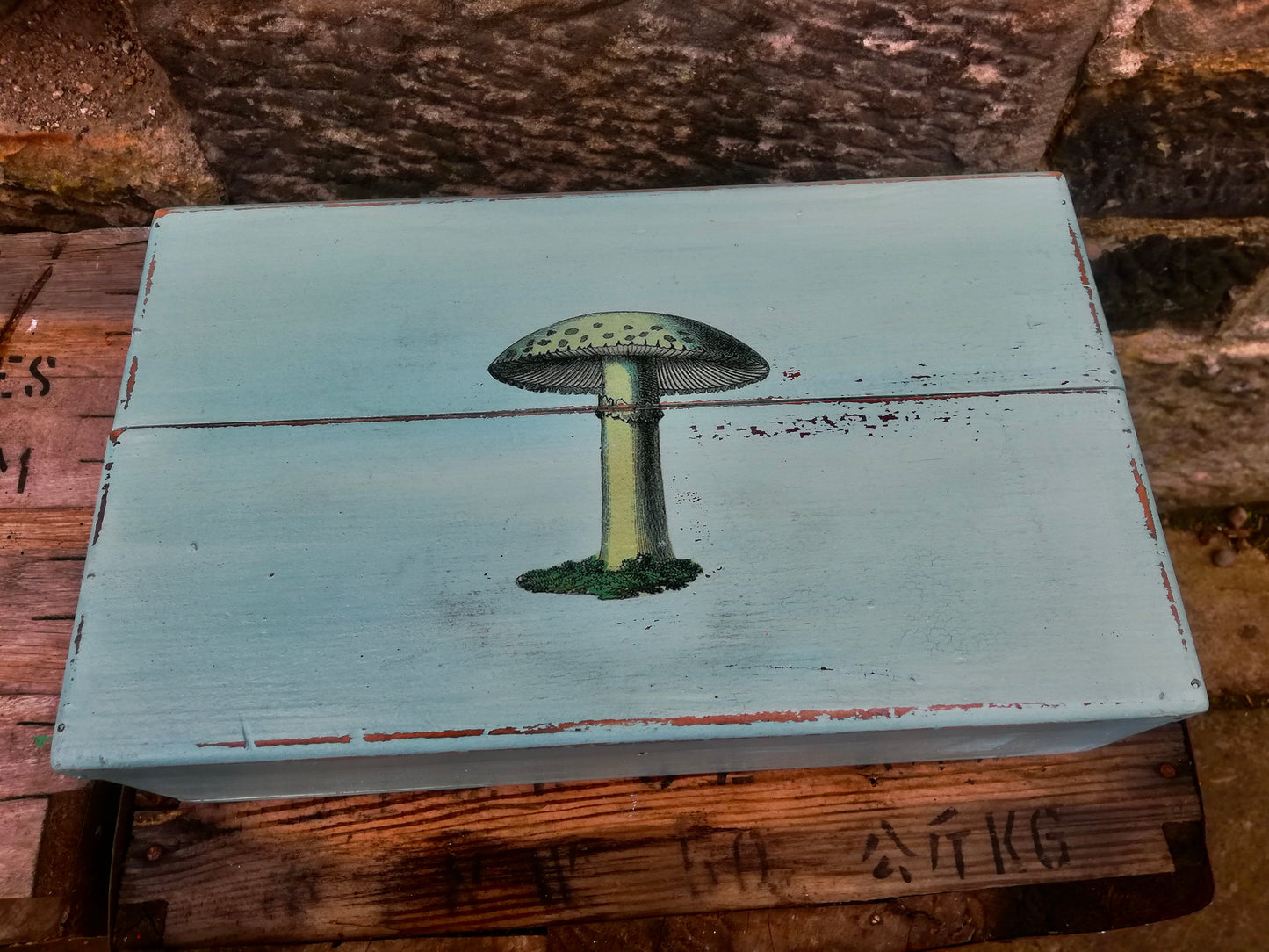 Vintage wooden box with mushroom design