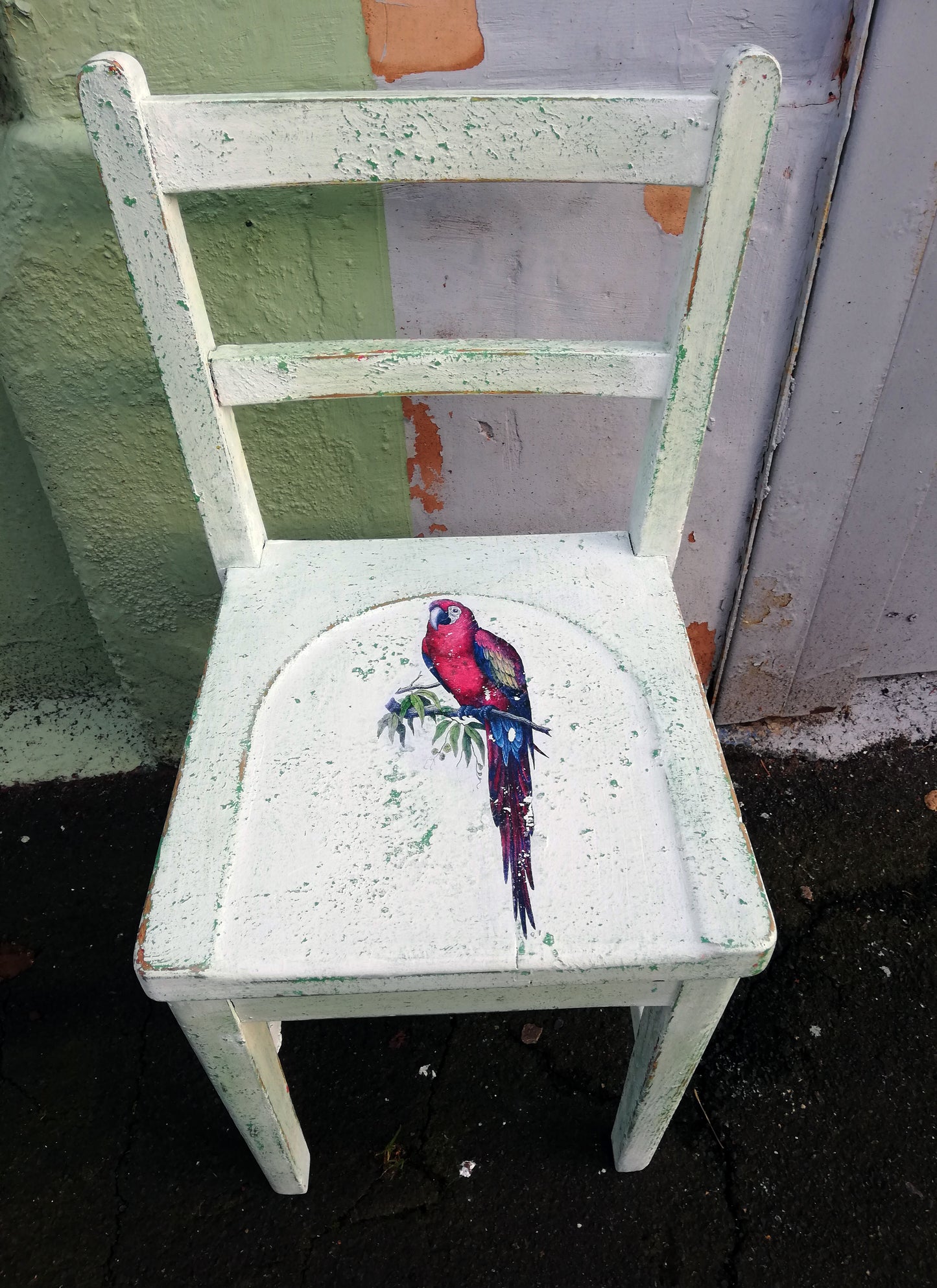 Little children's school chair transformed with saltwash with a vintage parrot design