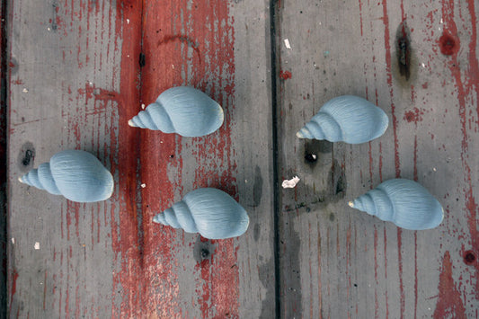 Set of 5 vintage shell cupboard cabinet knobs handles drawer pulls