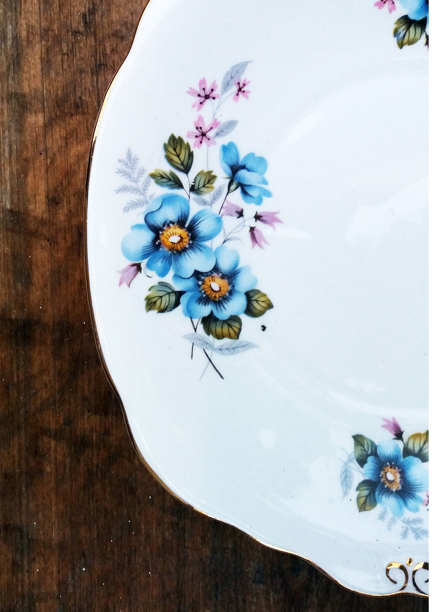 Shabby chic dinner plate with floral blue wild rose design in fine english bone china from Emily Rose Vintage