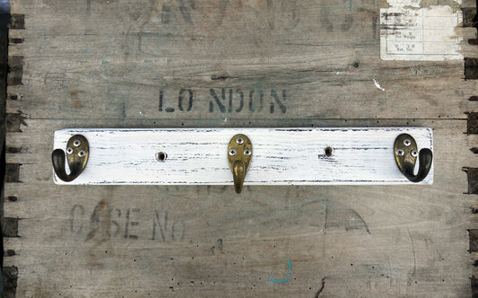 Hand painted coat hook painted in fusion mineral paint