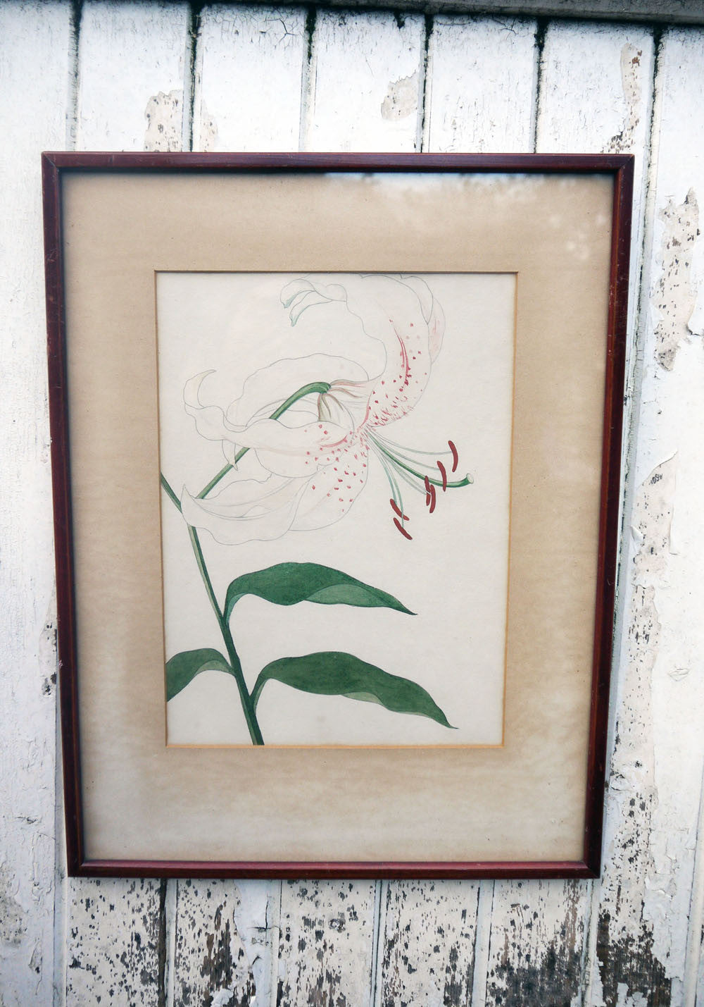 vintage botanical flower art prints lilly