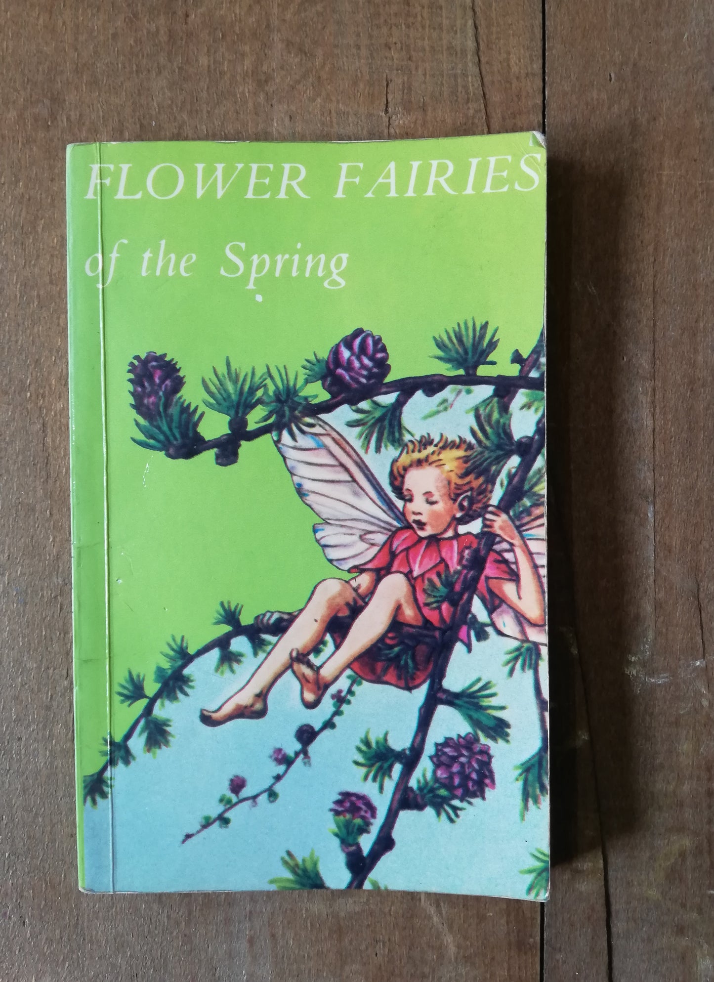 Gorgeous colourful little flower fairies book