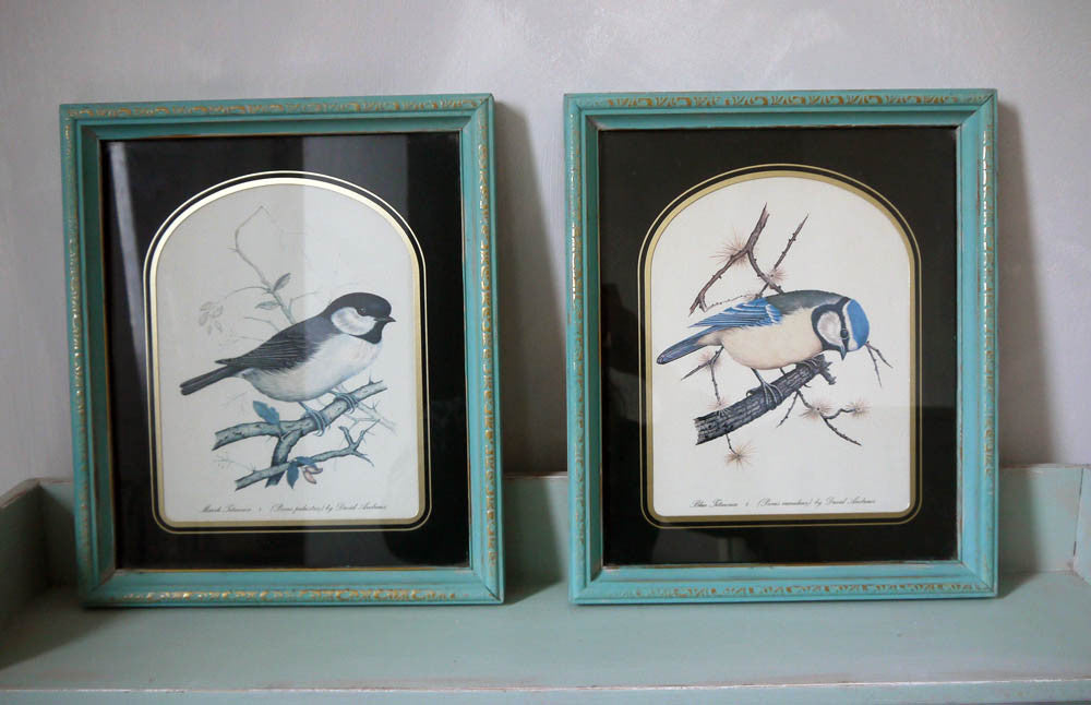 Set of Two vintage framed bird prints