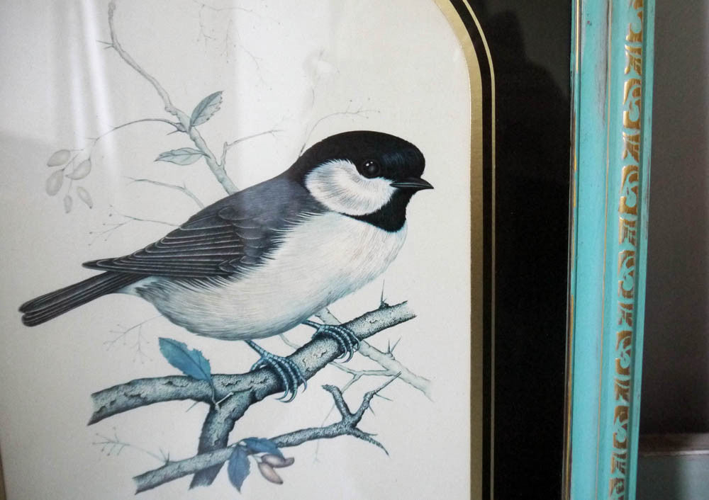 Set of Two vintage framed bird prints